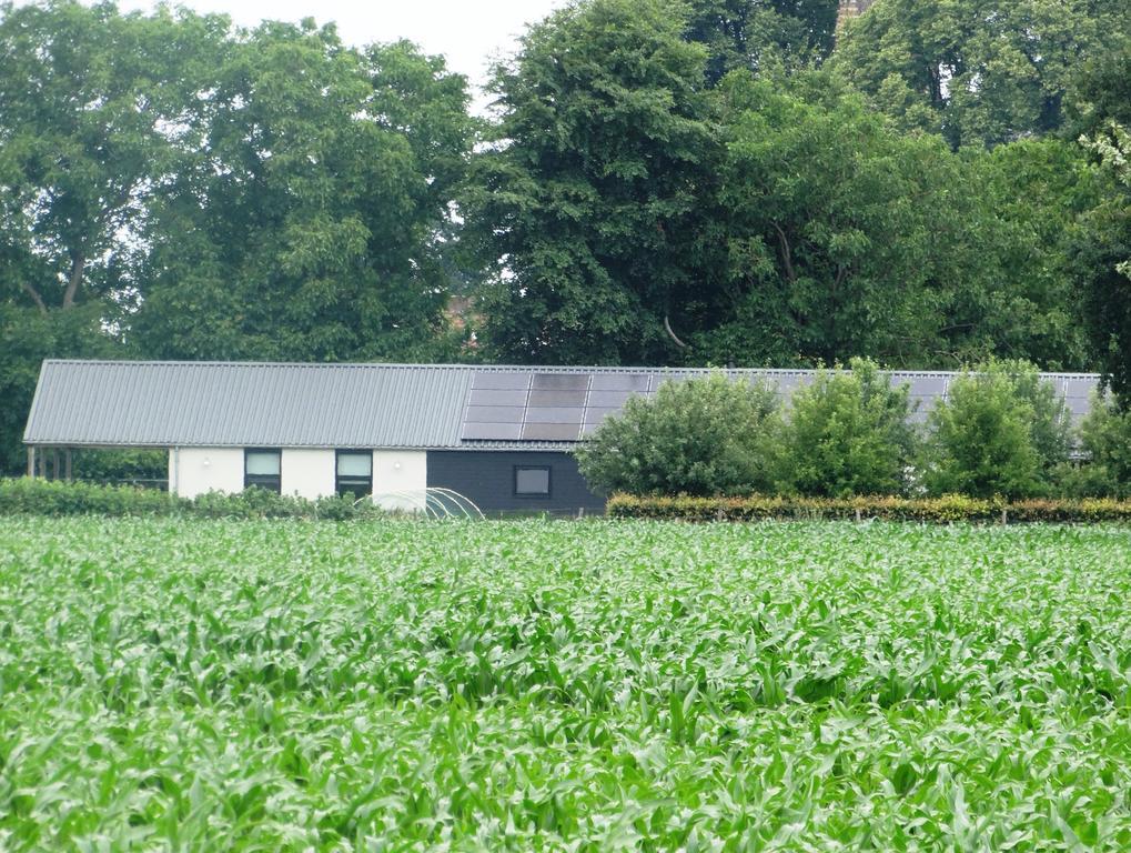 克伊克立夫克斯胡克住宿加早餐旅馆别墅 外观 照片